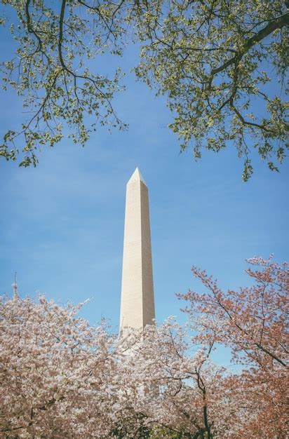 Premium Photo Low Angle View Of Washington Monument Against Trees