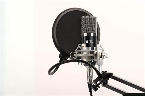 Professional Condenser Microphone How To Set Up At Rose Anderson Blog