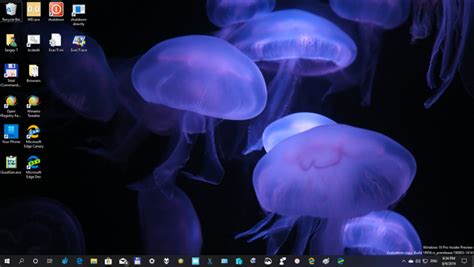 Jellyfish theme for Windows 10, 8, and 7