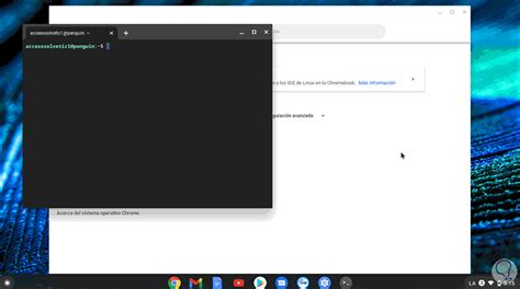 C Mo Instalar Microsoft Edge En Chromebook Solvetic