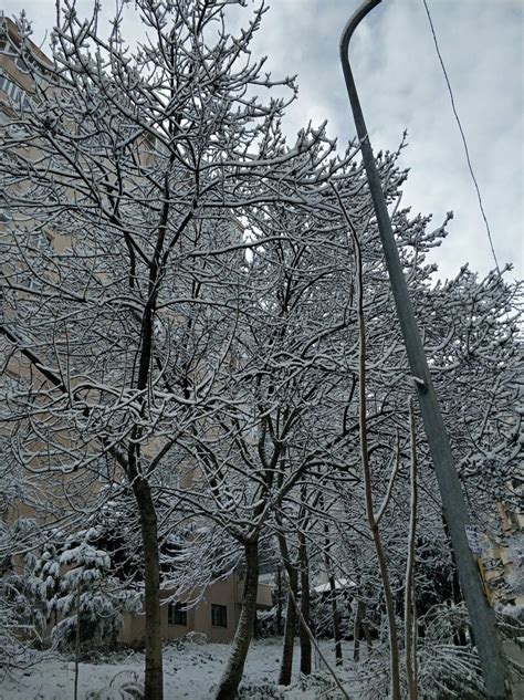 Meteo Ondata Di Freddo In Turchia La Neve Imbianca Istanbul FOTO E