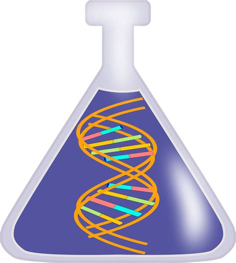 Dna clipart 20 free Cliparts | Download images on Clipground 2024