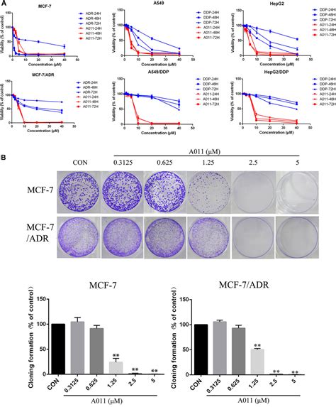 Frontiers Novel Sigma Receptor Ligand A Overcomes Mdr In