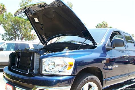 Amazing Girl Nadia Nitro Wants A Long Dong In Her Trimmed Pussy Photos