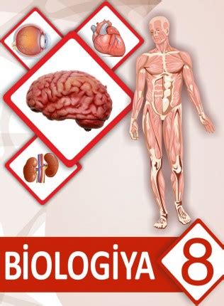 E Dərslik Biologiya 8