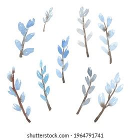 Watercolor Illustration Nine Twigs Pussy Willow Stock Illustration Shutterstock
