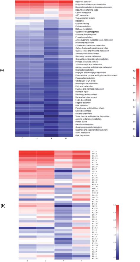 Heatmap Of Pathway Level A And Enzyme B Through The Picrust