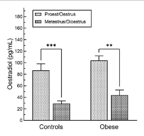 Figure From Obesity Induced Memory Deficits In Female Rats Are