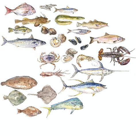 Know Your Seafood | Saveur