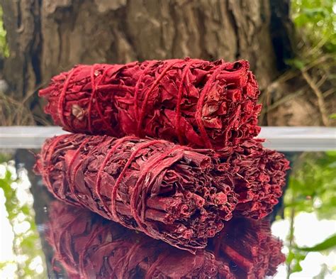 Dragons Blood Sage Smudge Stick 4 Cleanse Protect Premium Quality