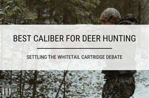 Best Caliber for Deer Hunting: Settling the Whitetail Cartridge Debate ...