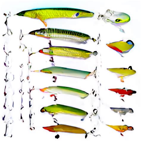 Choosing the Best Fishing Lures: A Comprehensive Comparison of Types ...