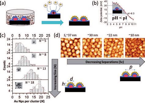 A Schematic Of The Fabrication Of Gold Nanoparticle Cluster Arrays By