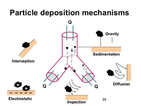 Deposition Modeling Of Respiratory Airborne Particles