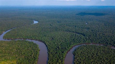 Amazonía en su momento más crítico perdió un millón de hectáreas de