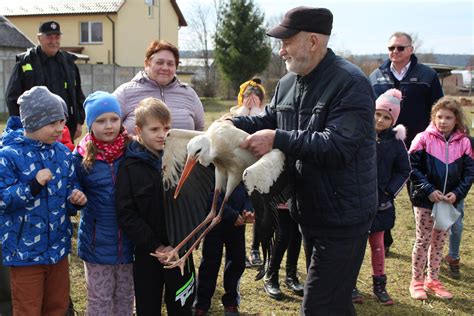 Przezimowa Y W Ptasim Azylu Wr Ci Y Na Ono Natury Zdj Cia