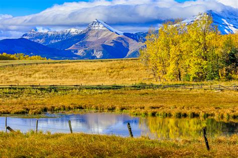 Alberta Canada Countryside Stock Photo Download Image Now Alberta