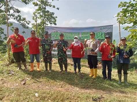 Perhutani Kph Lawu Dan Forkopimcam Slahung Hijaukan Lahan Dalam Rangka