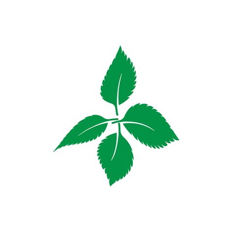 mint leaf logo 13121031 Vector Art at Vecteezy
