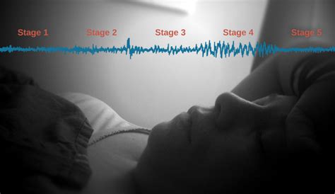 Stages Of Sleep Introductory Psychology