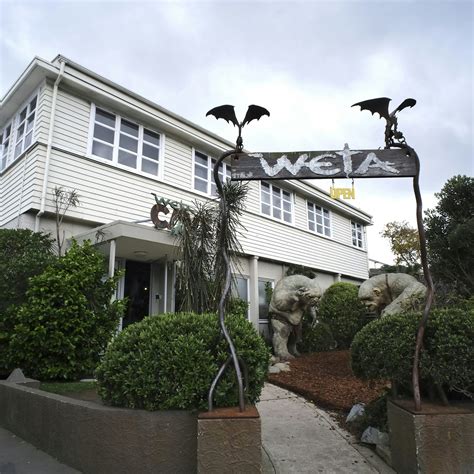 Wellington Botanic Gardens | Wellington, New Zealand | Attractions