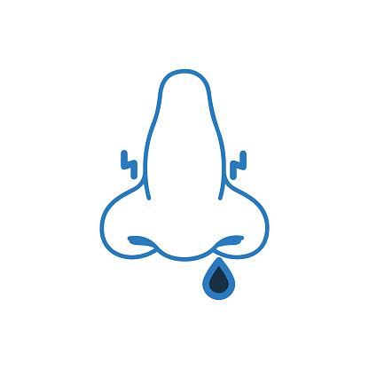 Anatomy Nose Or Smell Icon Stock Illustration - Download Image Now ...