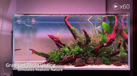 NICREW RGB W 24 7 LED Aquarium Light With Remote Controller YouTube