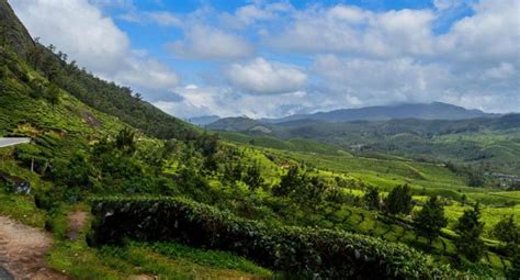 Reason To Visit Munnar