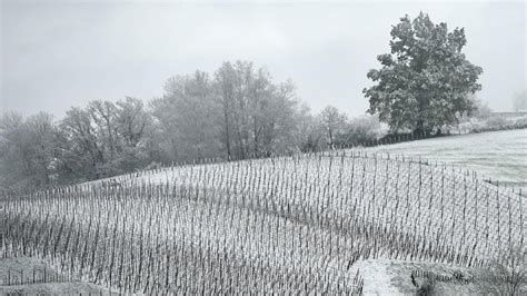 Météo Voici Les 5 Endroits Où De La Neige Est Attendue Cette Semaine