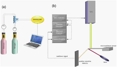 Microcantilever Sensors For Biochemical Detection