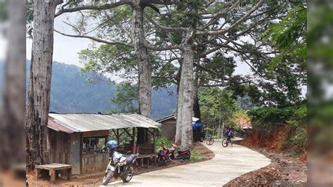 Jalan Ke Kawasan Perkebunan Teh Cisoka Margawindu Sudah Mulus Tahun