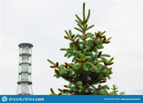 Zone D Exclusion Pripyat De La Catastrophe De Tchernobyl Image Stock