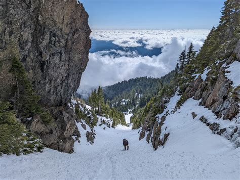 Alpine Scrambling Course - Kitsap - Field Trip 3 - Mount Ellinor — The