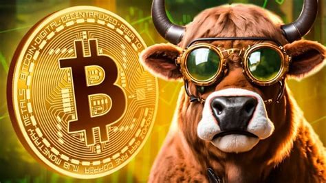 Bitcoin News 3 Kurs Korrigiert Prognose Warnt Der Horror Crash