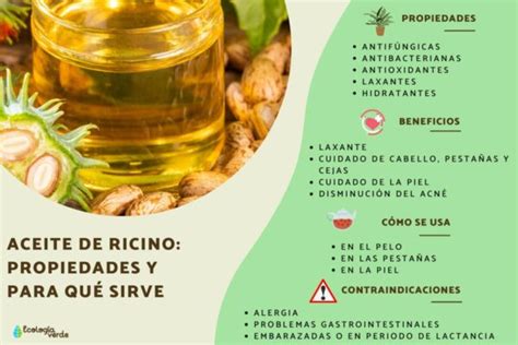 Qu Beneficios Tiene El Aceite De Recino Conadeip