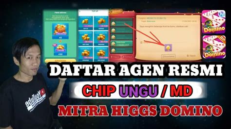 Cara Daftar Jadi Agen Chip Ungu MD Mitra Resmi Higgs Domino YouTube