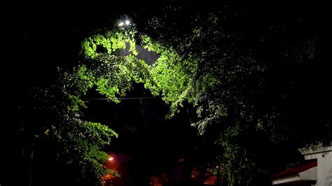 Som De Chuva Para Dormir Barulho De Chuva Relaxante Na Floresta