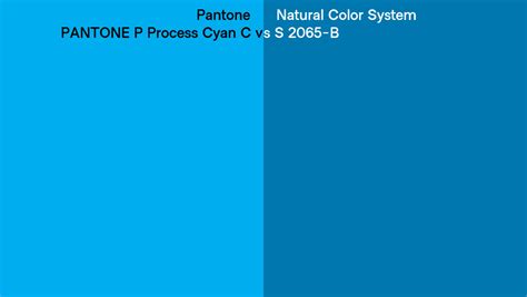 Pantone P Process Cyan C Vs Natural Color System S 2065 B Side By Side