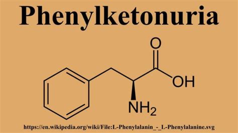 What Is Phenylketonuria Healthtian