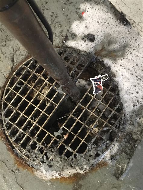 Best Laundry Room Images On Pholder Amateur Room Porn Cozy Places And Found Paper