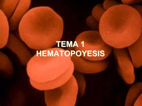 Hematopoyesis Ppt