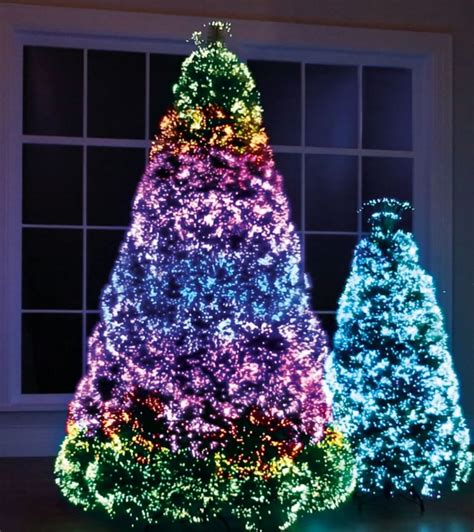 The Northern Lights Christmas Trees | Christmas