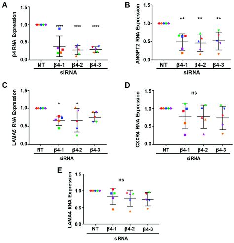 The Expression Angpt2 Is Positively Regulated By Integrin α6β4 Rna Was