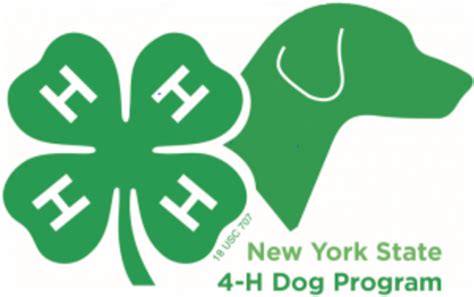 Cornell Cooperative Extension Nys 4 H Dog Program Canine Costume Contest