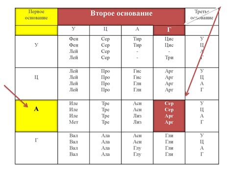 Как пользоваться таблицей генетического кода - презентация онлайн
