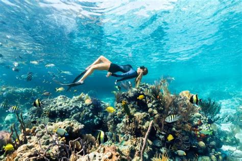 Andros Bahamas Blue Hole And Barrier Reef Day Tour