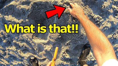 What Did I Find Metal Detecting At The Beach Youtube