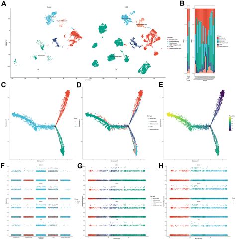 Cellular Senescence Related Gene Signature As A Valuable Predictor Of