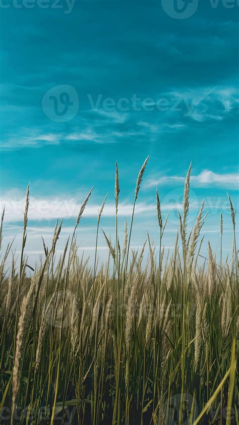 Ai Generated Grass Field Under Blue Sky Creates Idyllic Natural Backdrop Vertical Mobile