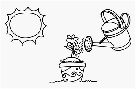 Water Plants Clipart Black And White, HD Png Download - kindpng